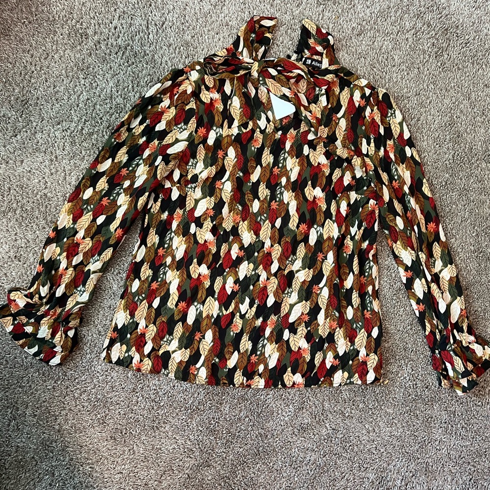 Casual long-sleeve fall color blouse